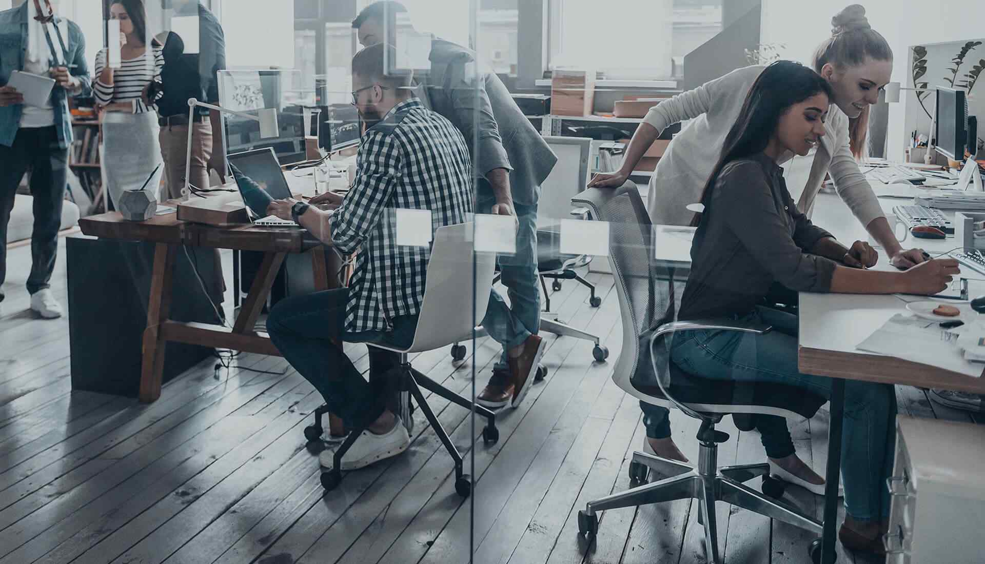 Contact us The Carpet Man